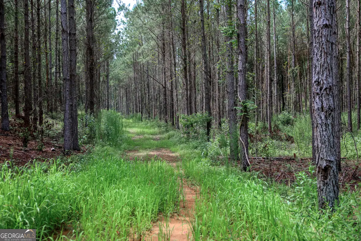 0 Moore Store Road, Richland, GA 31825 - Image #1