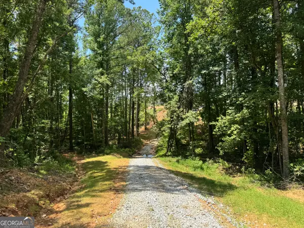 319 +/- AC Hwy 100, Franklin, GA 30217