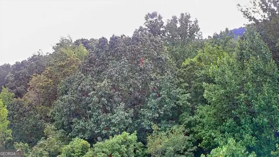 0 S Pittsburg Mountain Road, South Pittsburg, TN 37380 - Image #2