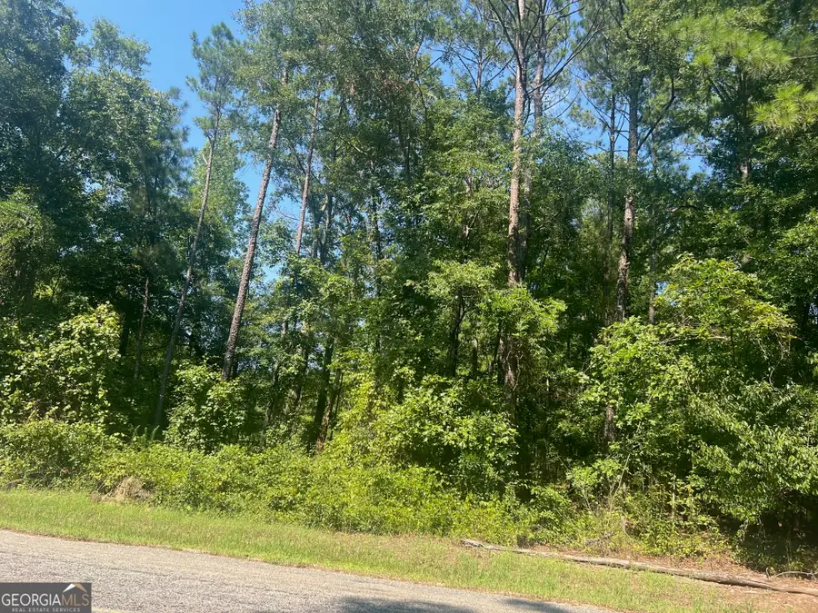 203 Pebble Cove Road, Abbeville, AL 36310 - Image #2