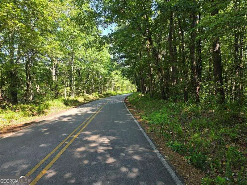 0 Lawson Federal Road, Ball Ground, GA 30107 - #3