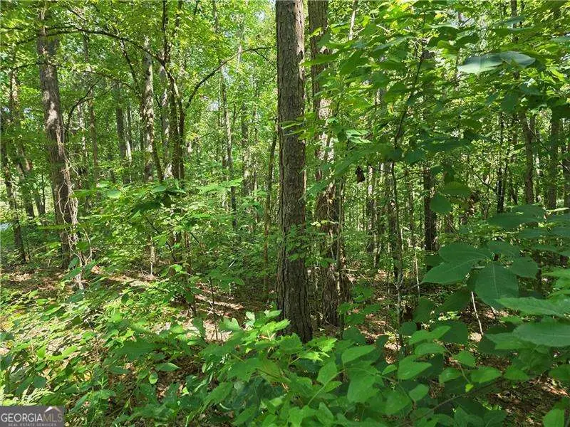 0 Harley Trail, Ball Ground, GA 30107 - #2