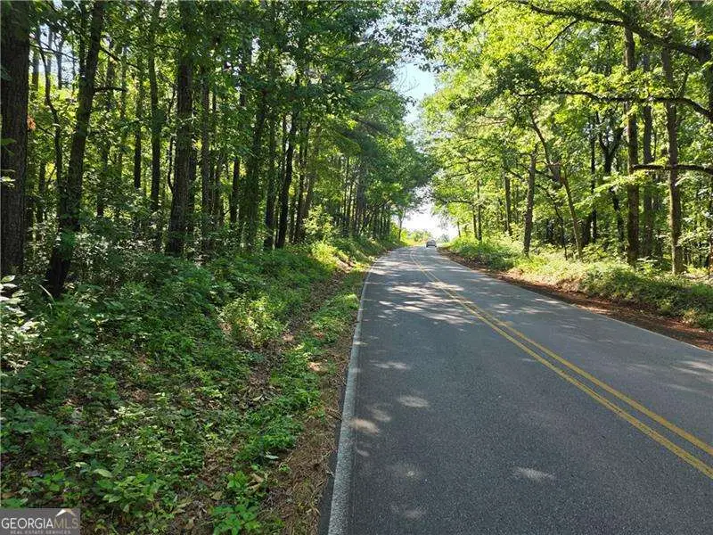 0 Harley Trail, Ball Ground, GA 30107 - #3