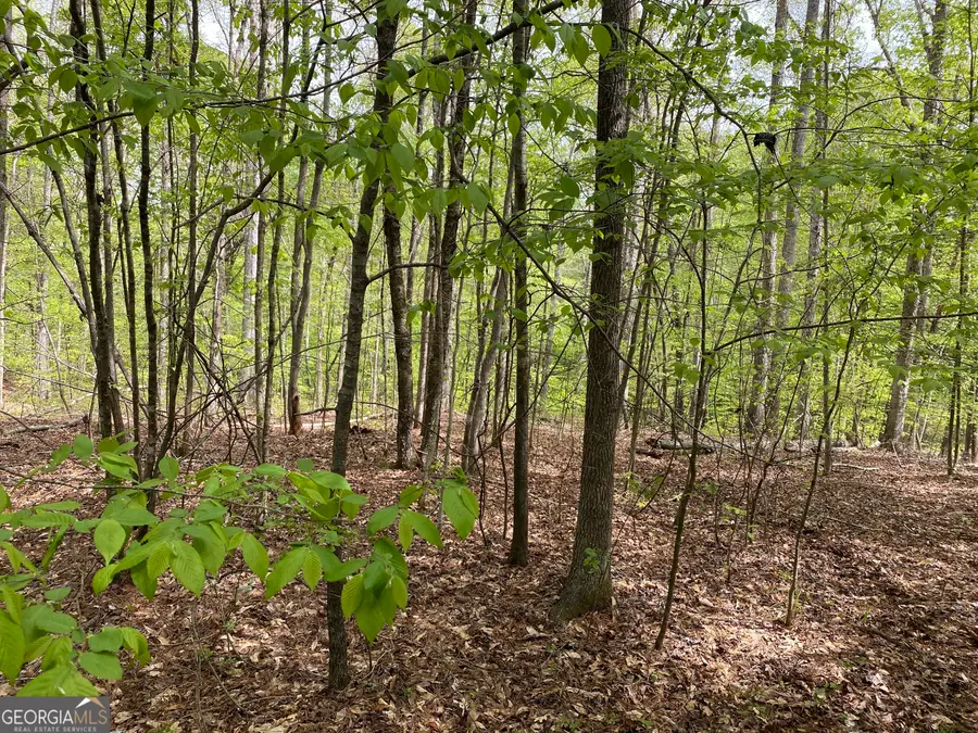 2A Curry Falls Trail, Athens, GA 30607 - Image #2