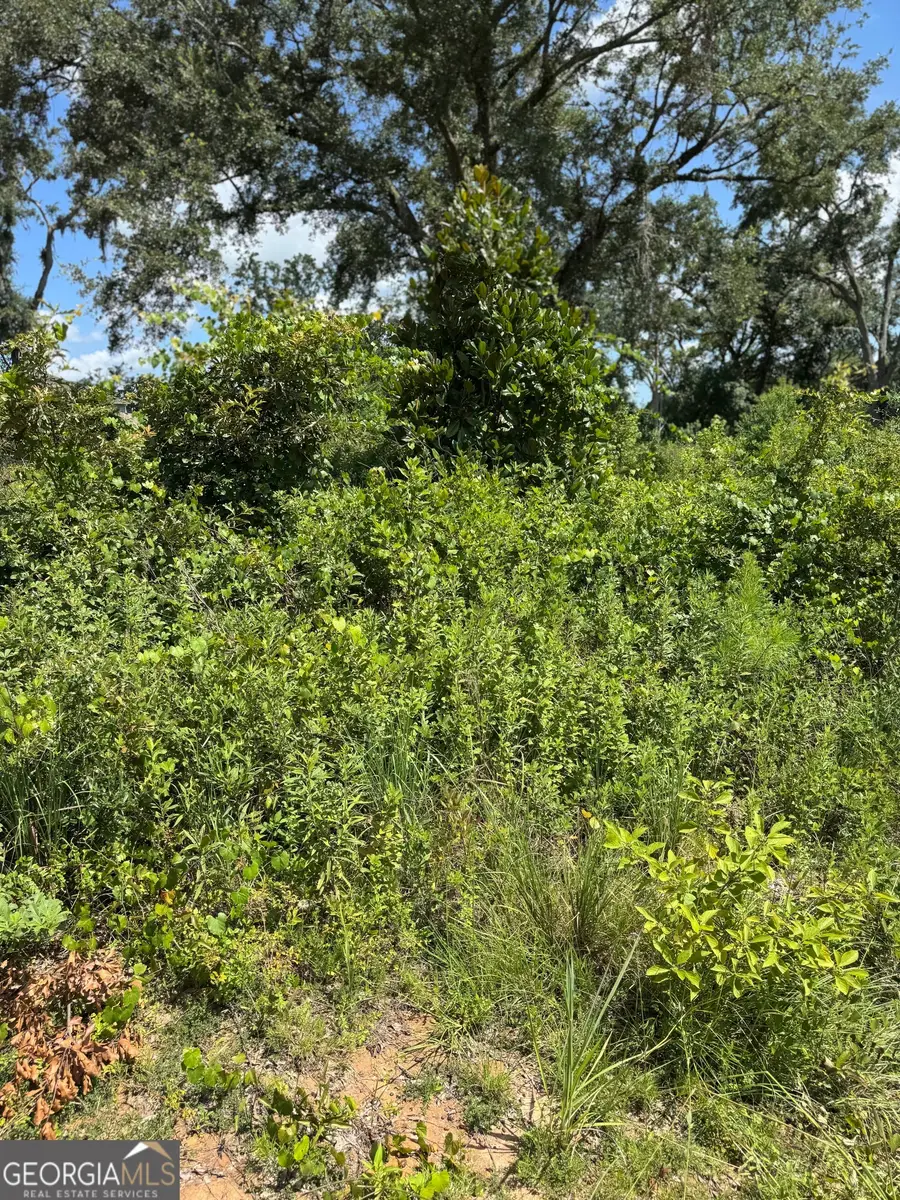 5125 Kinderlou Clyattville Road, Valdosta, GA 31601 - Image #3