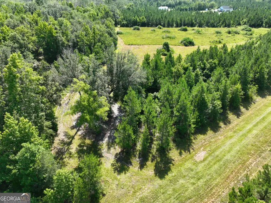 0 Hollow Point Trail, Kingsland, GA 31548 - Image #3