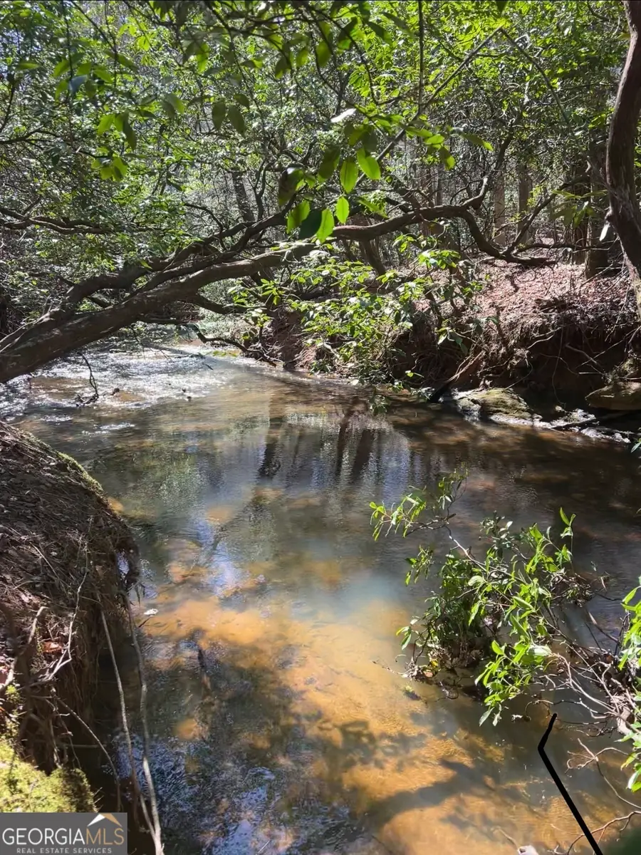 5A Creekside Drive, Cleveland, GA 30528 - Image #2