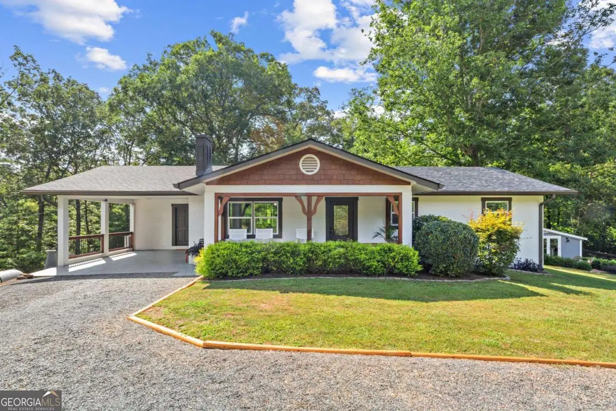 307 Pleasant Gap Cemetery Drive, Ellijay, GA 30540 - #1