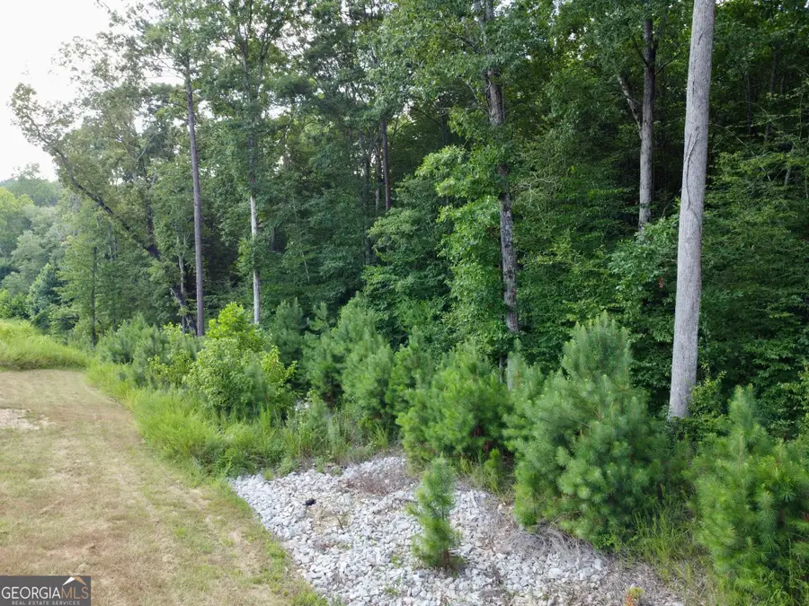 2400 New Hope Road, Dacula, GA 30019 - #3