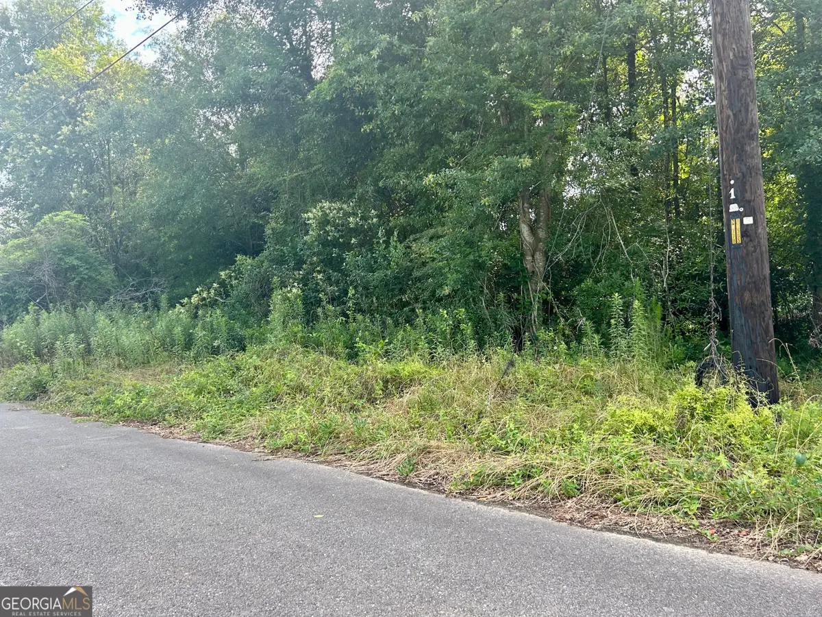 225 Lilly Street, Marshallville, GA 31057 - Image #1