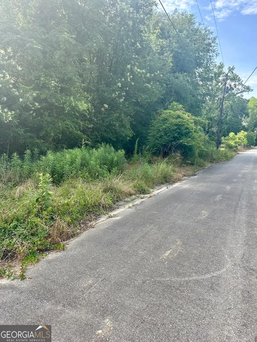 225 Lilly Street, Marshallville, GA 31057 - Image #3