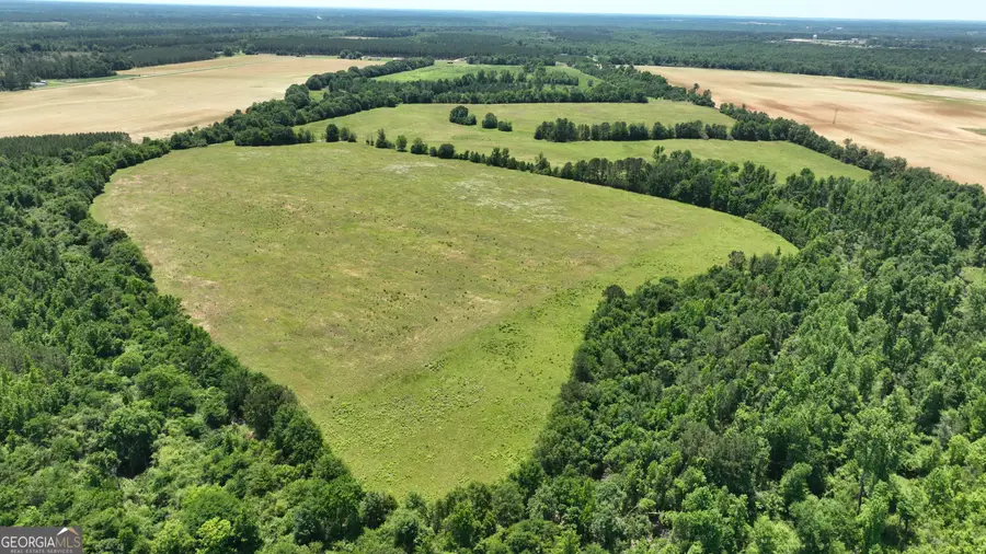 0 Hwy. 24, Louisville, GA 30434 - Image #2