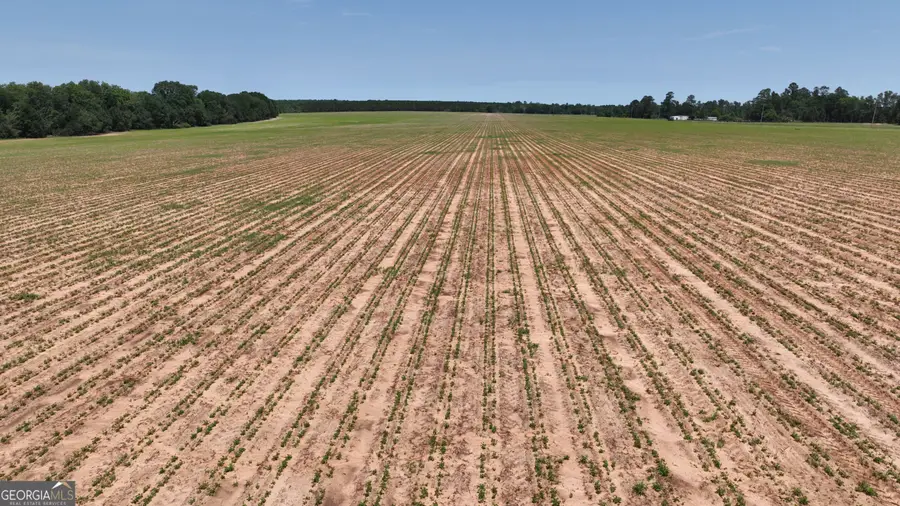 0 Hwy. 24, Louisville, GA 30434 - Image #3