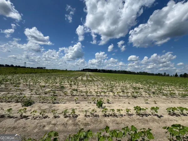 0 Melton Chapel Road, Baxley, GA 31513