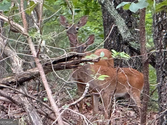 LOT 26 Whippoorwill Way, Alto, GA 30510 - Image #1