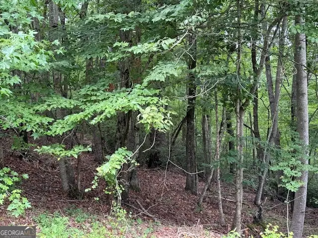 LOT 26 Whippoorwill Way, Alto, GA 30510 - Image #3