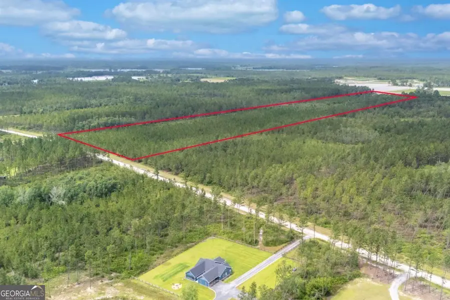 0 S Farms Edge Road, Manor, GA 31550 - Image #3