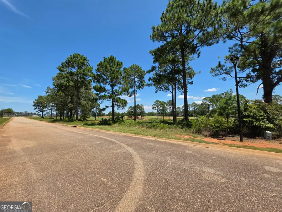 LOT 10&11 Camden Way, Hawkinsville, GA 31036 - Image #2
