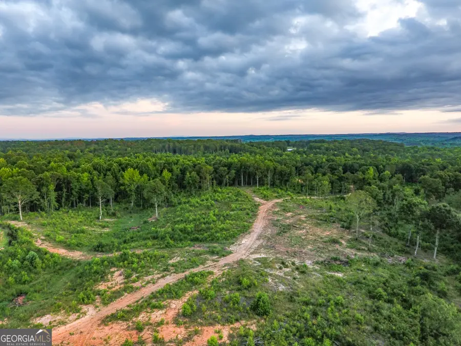 0 Roy Dean Road, Buchanan, GA 30113 - Image #3