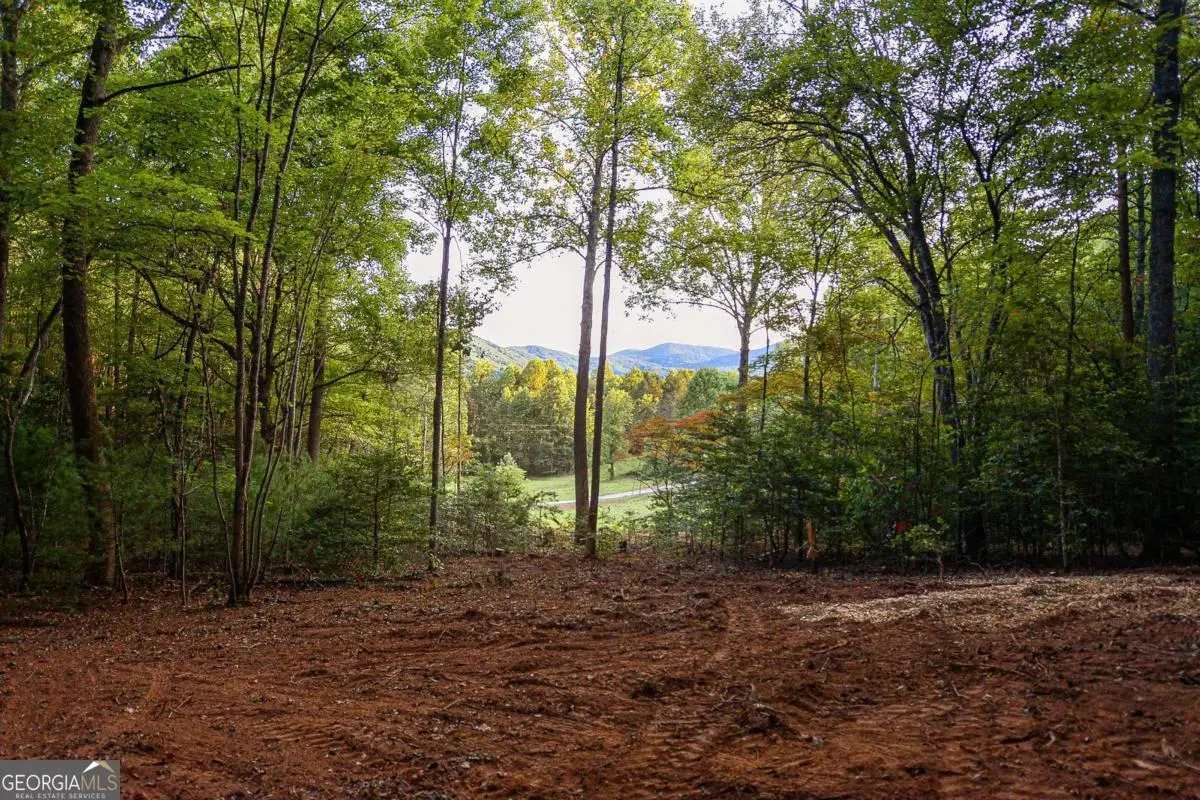 0 Cottonwood Lane, Blue Ridge, GA 30513 - Image #1
