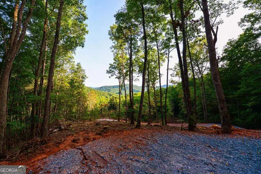 0 Cottonwood Lane, Blue Ridge, GA 30513 - Image #3