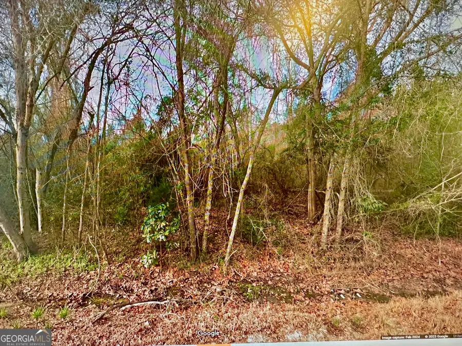 0 Ga Hwy 129, Claxton, GA 30417 - Image #2