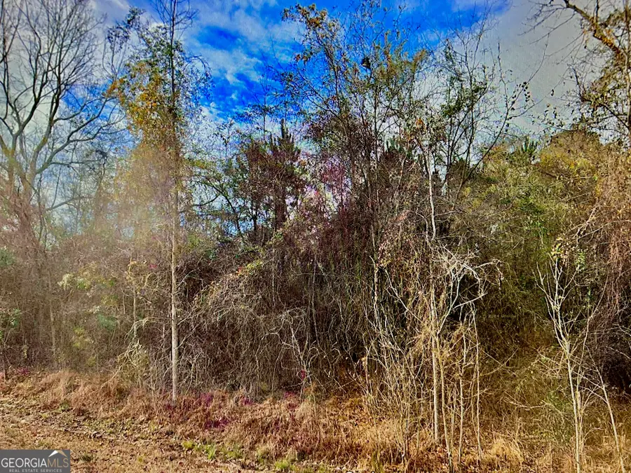 0 Ga Hwy 129, Claxton, GA 30417 - Image #3