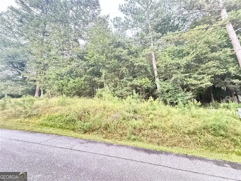 2569 Pinewood Drive, Conyers, GA 30012 - Image #3