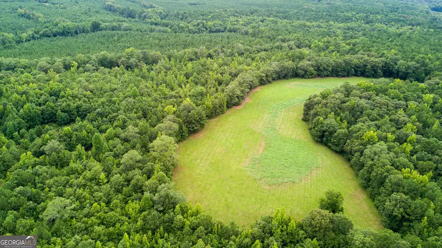 0 Butts Mill Road, Pine Mountain, GA 31822 - Image #3