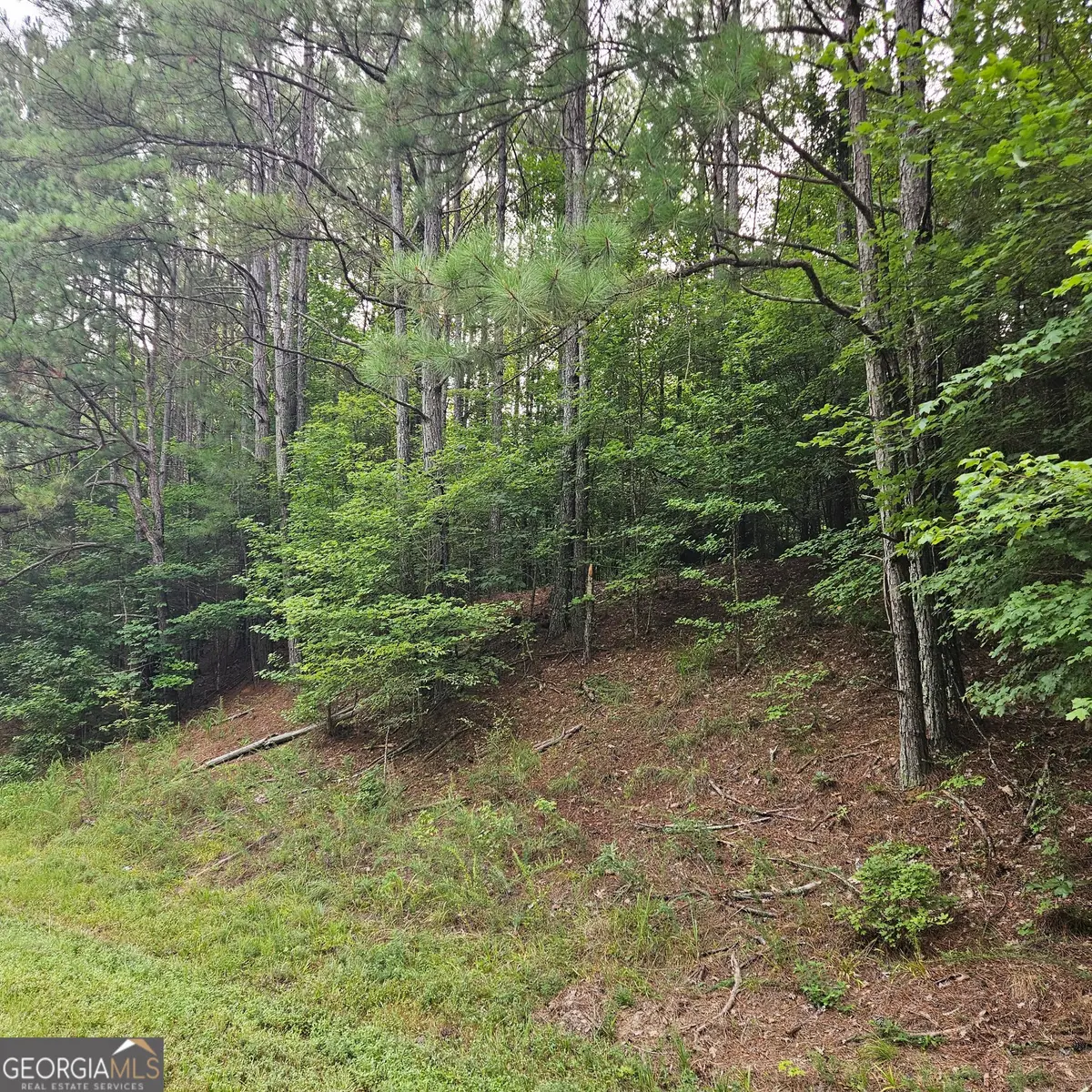 0 Doster Road, Madison, GA 30650 - #1