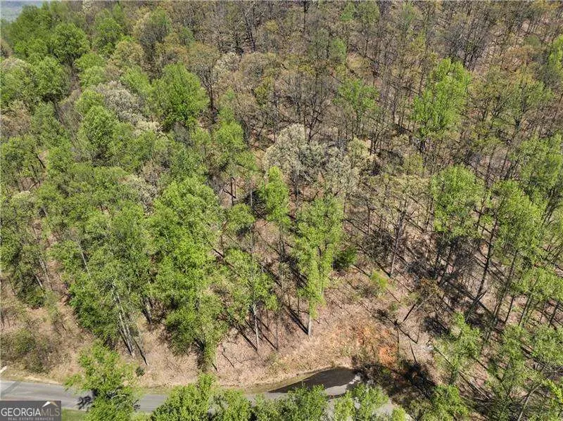 0 Stone Cliff Trace, Cleveland, GA 30528 - Image #1