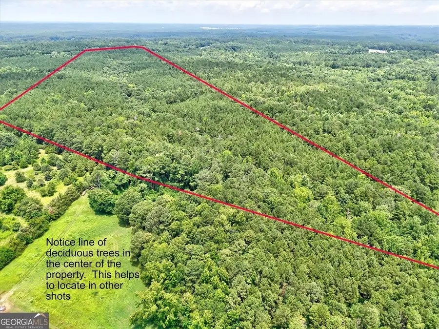 0 Lexington Highway, Elberton, GA 30635 - Image #2