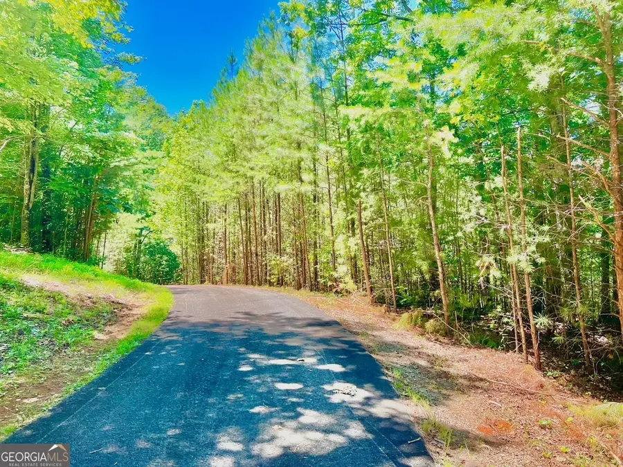 64 Meadow Brooke Drive, Young Harris, GA 30582 - Image #2