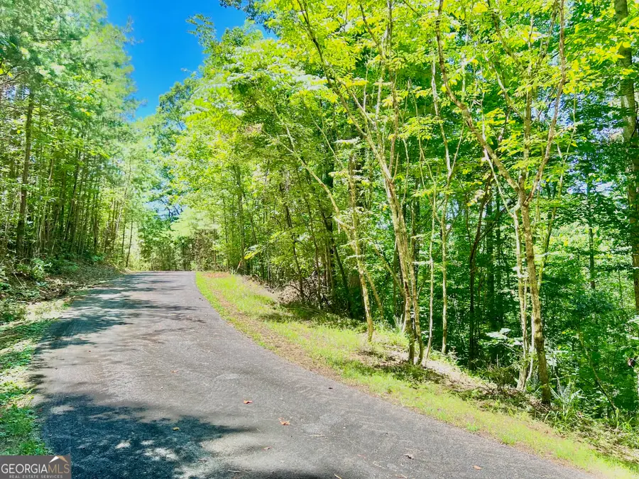 64 Meadow Brooke Drive, Young Harris, GA 30582 - Image #3