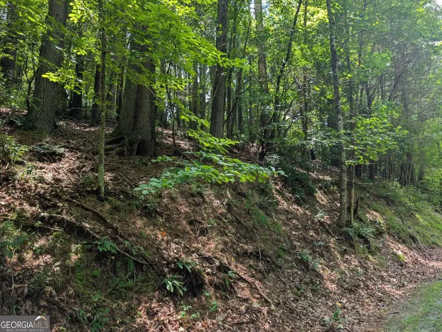 LOT P1 Goldmine Drive, Ellijay, GA 30536 - Image #3