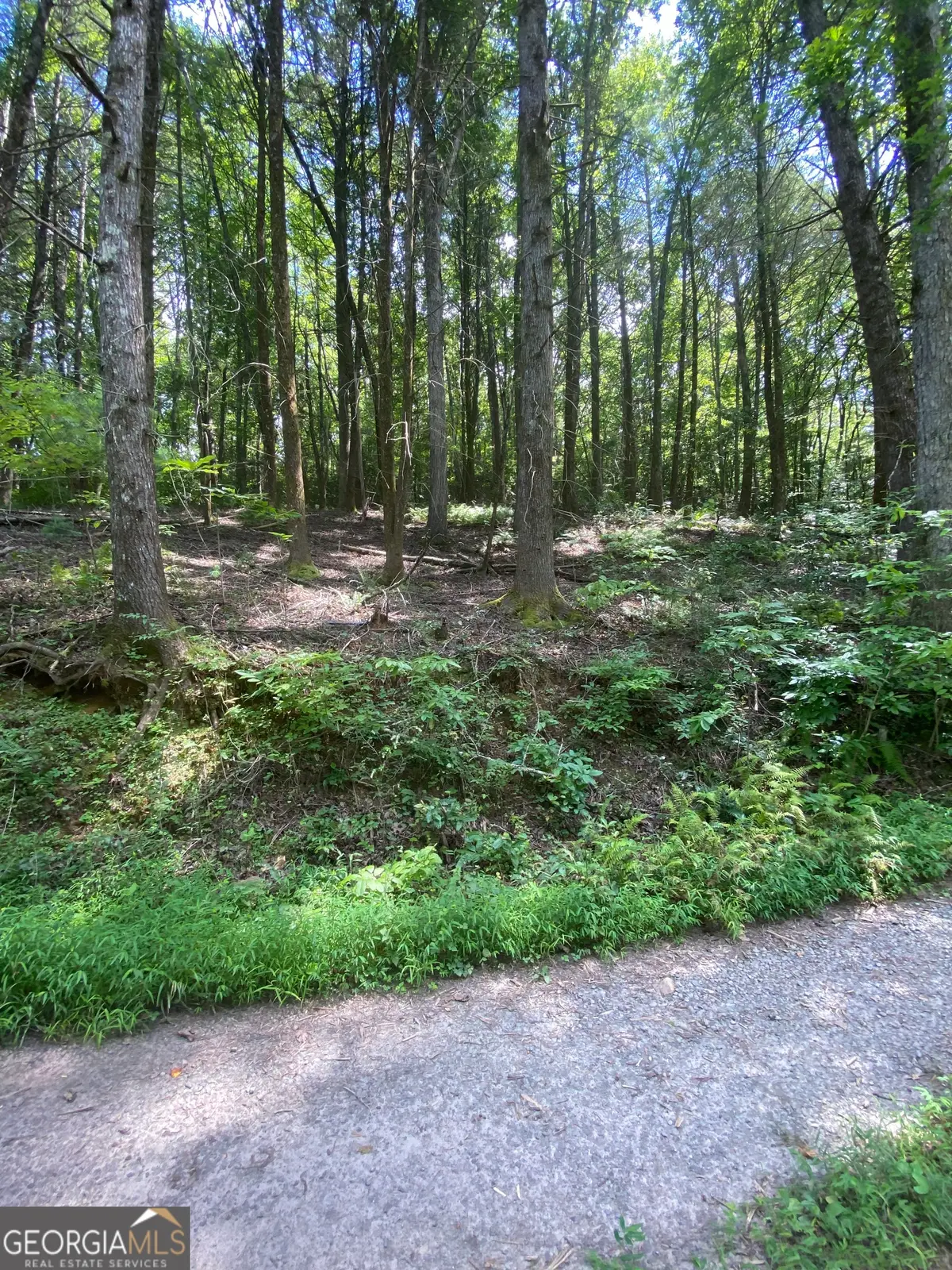 HEMLOCK Hemlock Trail, Blue Ridge, GA 30513 - #1