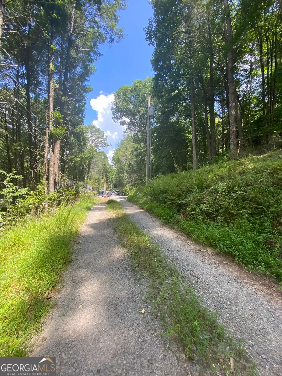 HEMLOCK Hemlock Trail, Blue Ridge, GA 30513 - #2