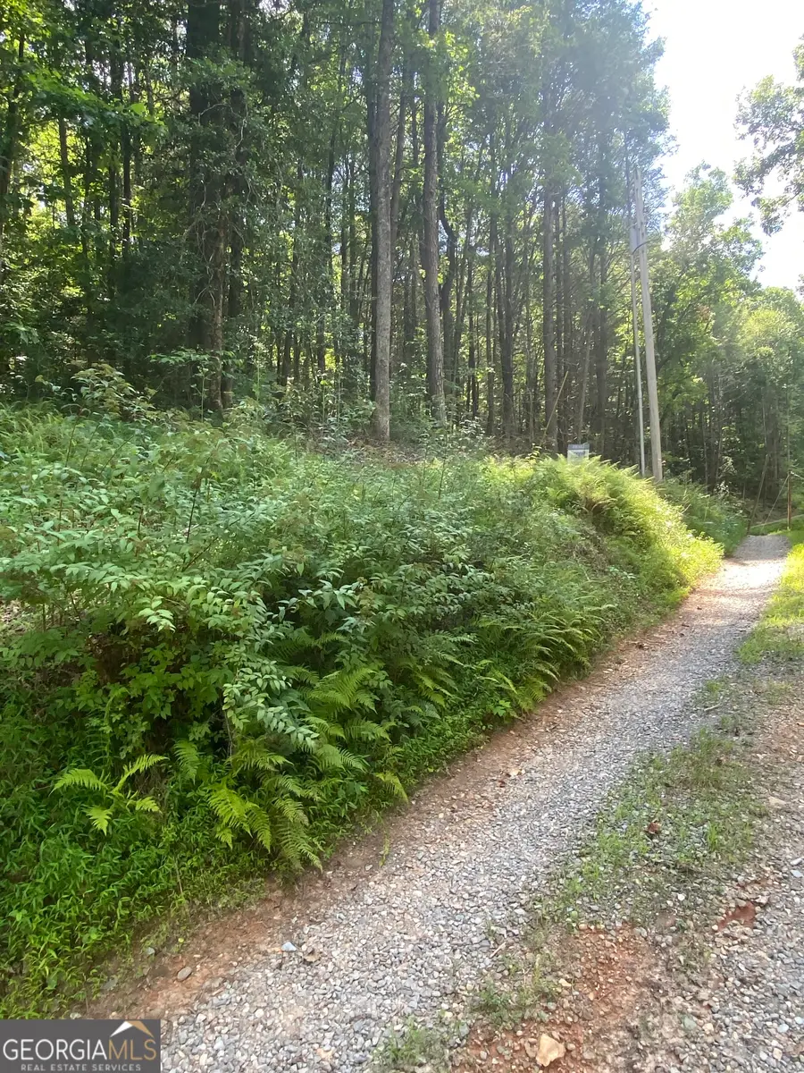 HEMLOCK Hemlock Trail, Blue Ridge, GA 30513 - #3