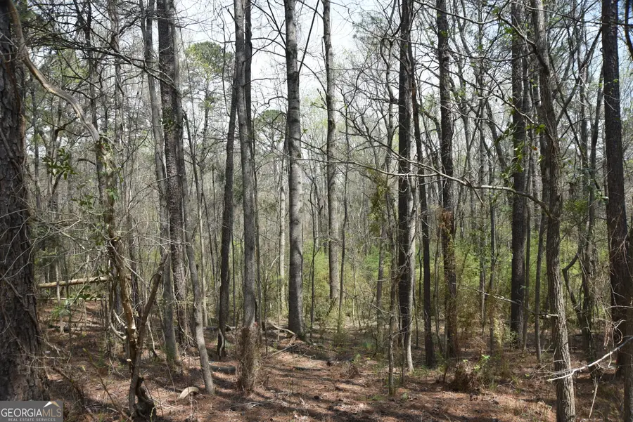 0 Main, Waverly Hall, GA 31831 - Image #2