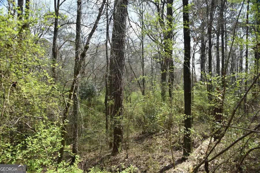 0 Main, Waverly Hall, GA 31831 - Image #3