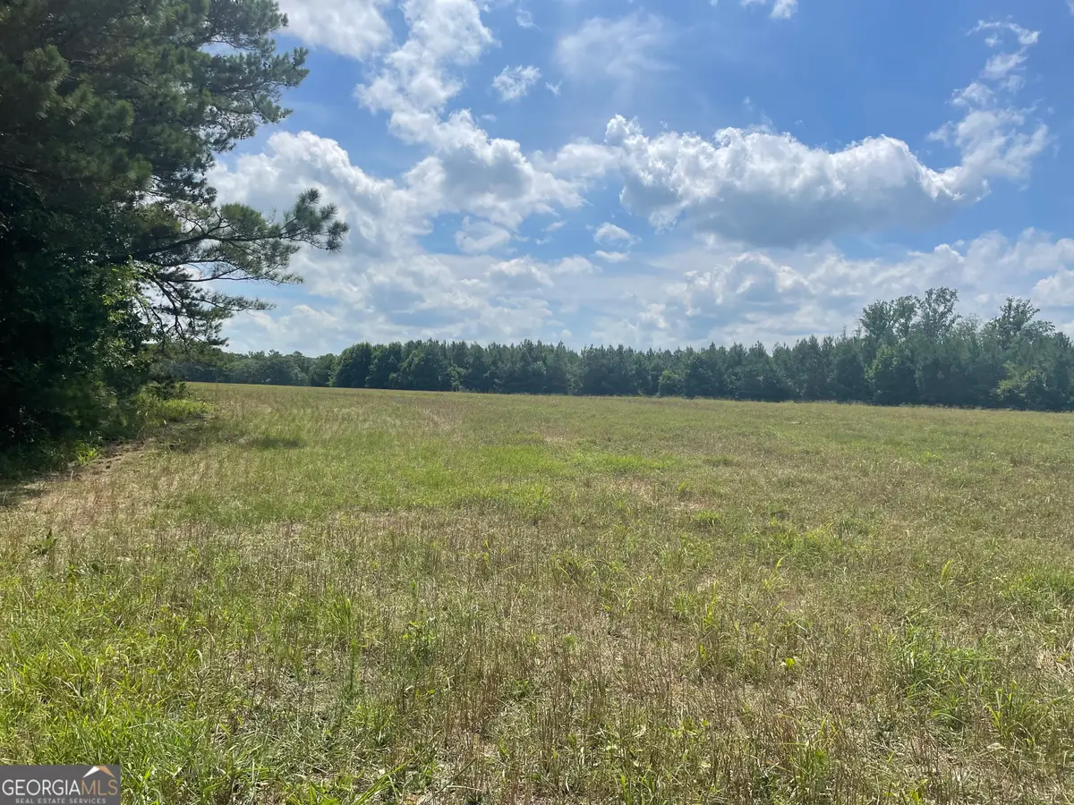 0 Cannon Road, Sharpsburg, GA 30277 - Image #1