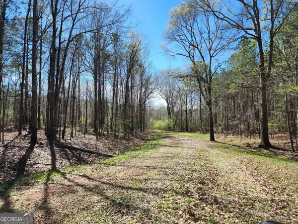 0 Deer Ridge Drive, Hamilton, GA 31811