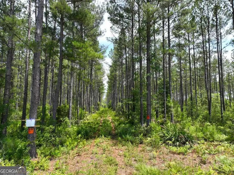 3207 Bertran Trail, Waycross, GA 31503 - Image #2