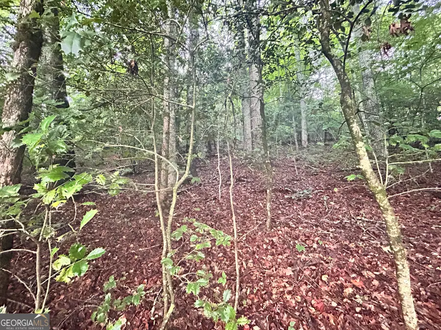 0 Chastain Road, Sautee Nacoochee, GA 30571 - Image #2