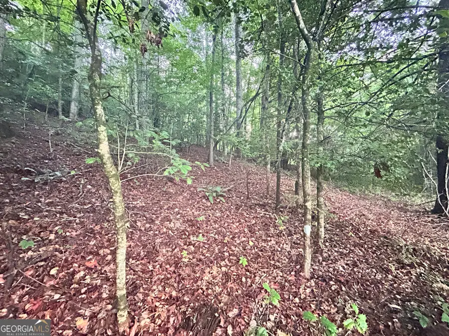 0 Chastain Road, Sautee Nacoochee, GA 30571 - Image #3