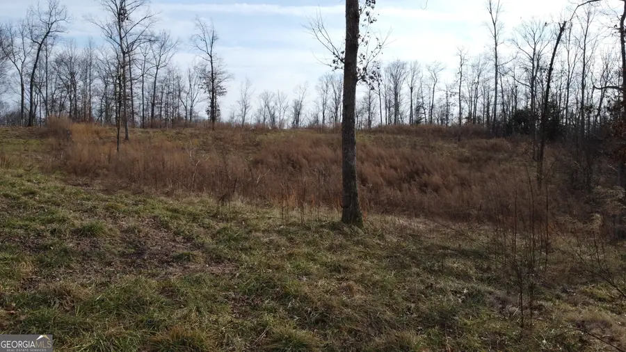 1.70 ACRES Garrison Road, Cornelia, GA 30531 - Image #2