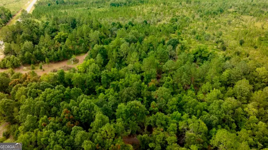 02 Big Horse Creek Road, Jacksonville, GA 31544 - Image #3