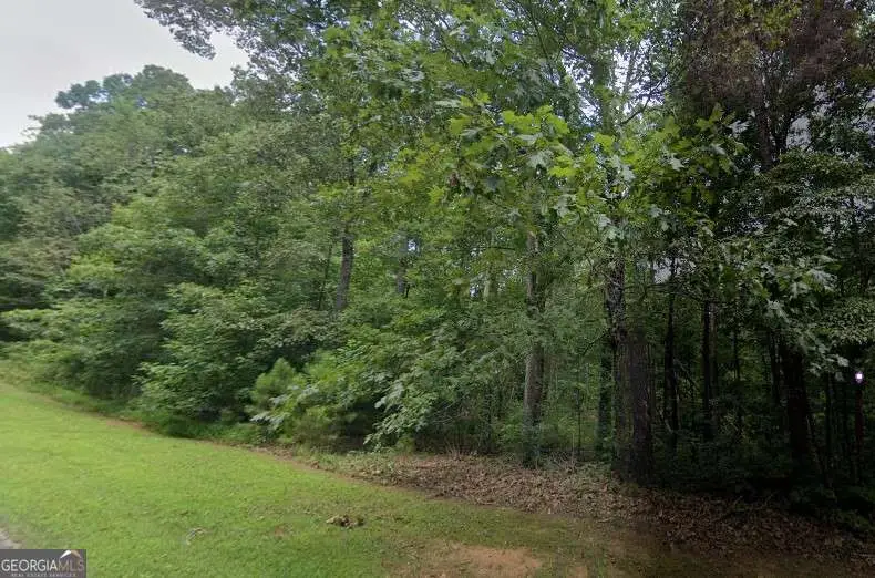 0 Doll Mountain Road, Ellijay, GA 30540 - #3