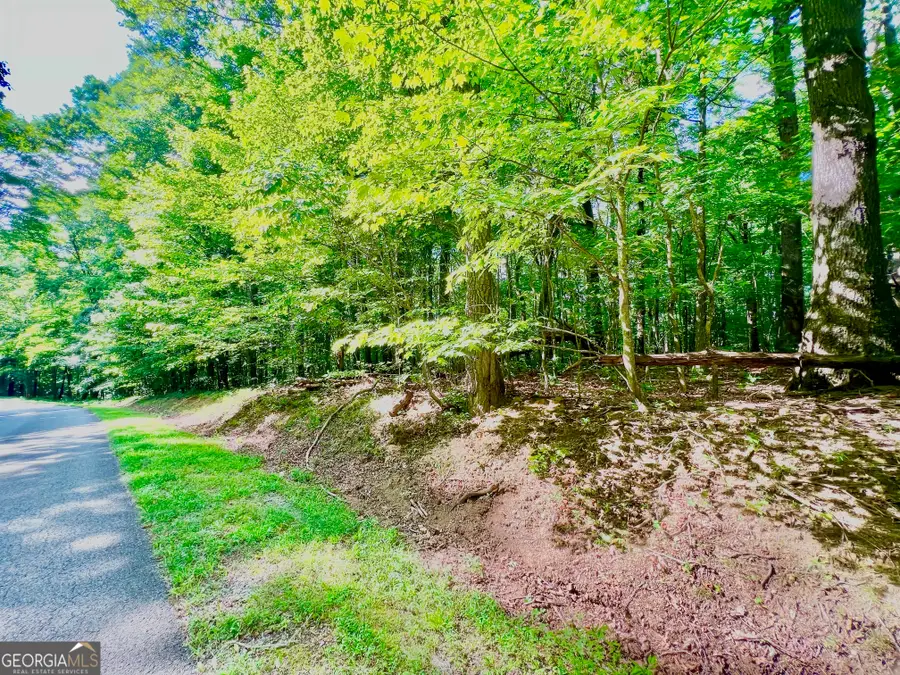 186 St Andrews Way, Ellijay, GA 30536 - Image #2