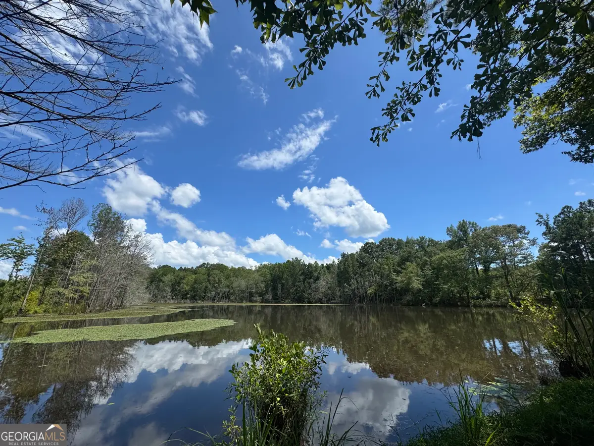 353 Parham Road, Warm Springs, GA 31830 - #1